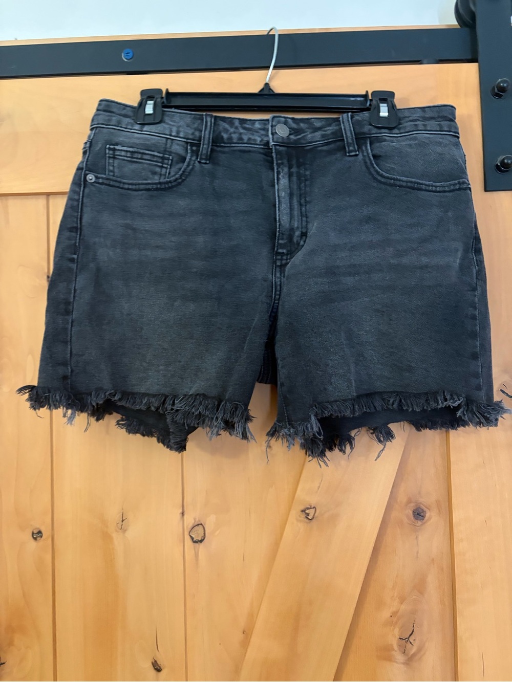 Carly Jean Los Angeles Washed Black Frayed Hem Denim Shorts